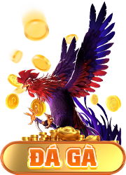 fun79 thumb đá gà